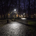 Nowe oświetlenie w parku dzikowskim