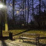 Nowe oświetlenie w parku dzikowskim