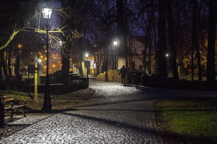 Nowe oświetlenie w parku dzikowskim