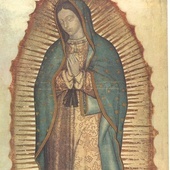 Odpust zupełny na domowe obchody święta Matki Bożej z Guadalupe