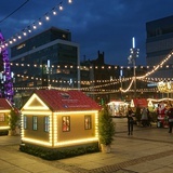 Rozświetlone Katowice