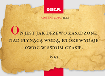 Wrócę do Źródła