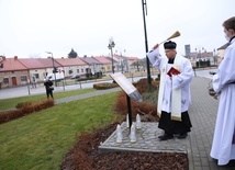 Żabno. Papieski plac z dębem