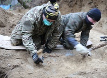 Wydobycie wraku samolotu 