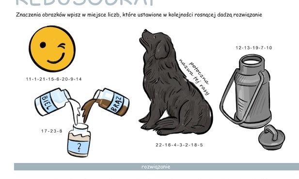 Konkurs: Rozwiąż rebusograf#4