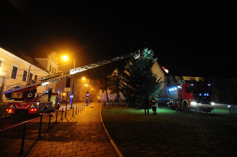 Osadzanie choinki przed Oknem Papieskim