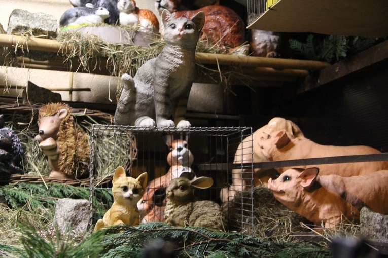 Limanowa. Szopka ks. Stanisława