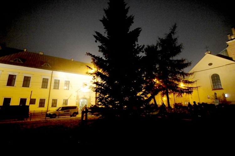Zapalenie światełek na choince przy ul. Franciszkańskiej
