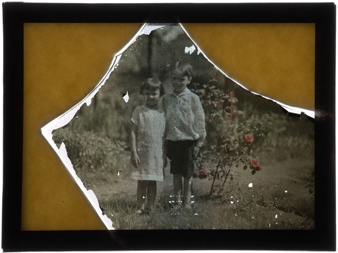 Autochromy prof. Jana Zdzisława Włodka