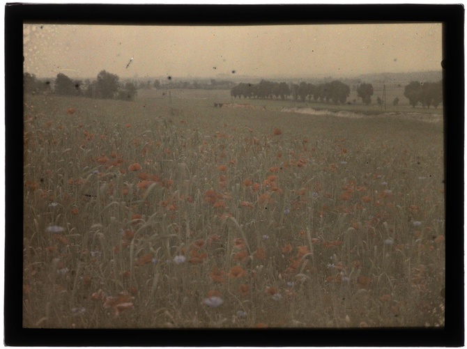 Autochromy prof. Jana Zdzisława Włodka