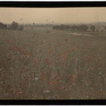 Autochromy prof. Jana Zdzisława Włodka