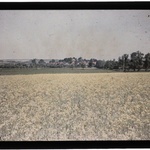 Autochromy prof. Jana Zdzisława Włodka