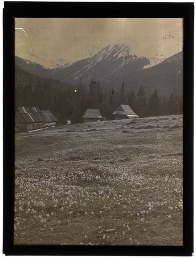 Autochromy prof. Jana Zdzisława Włodka