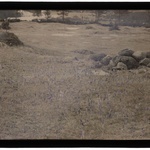 Autochromy prof. Jana Zdzisława Włodka