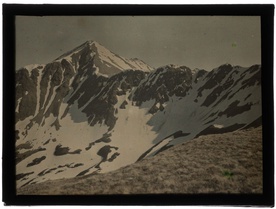 Barwny świat prof. Włodka