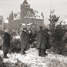 ►	Sprzedaż choinek, zdjęcie zrobione nie później niż w 1930 roku.