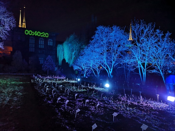 Zimowa iluminacja Ogrodu Botanicznego we Wrocławiu