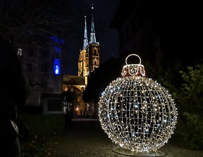Zimowa iluminacja Ogrodu Botanicznego we Wrocławiu