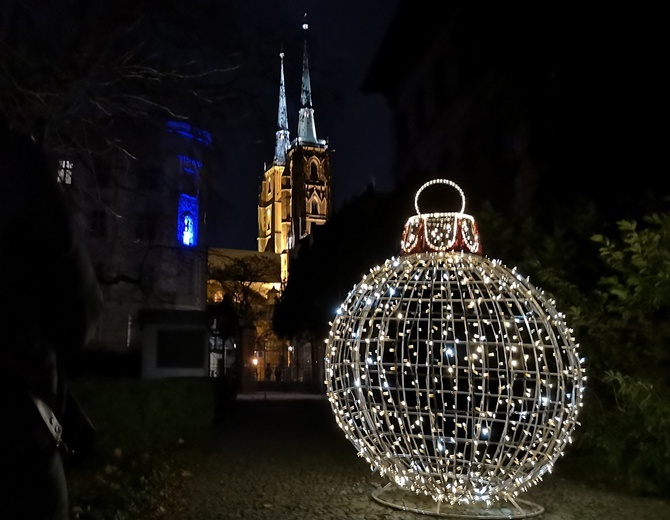 Zimowa iluminacja Ogrodu Botanicznego we Wrocławiu