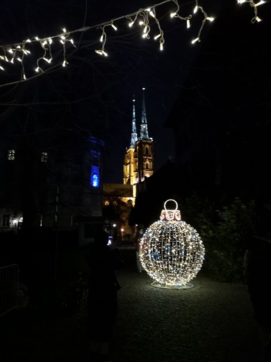 Zimowa iluminacja Ogrodu Botanicznego we Wrocławiu