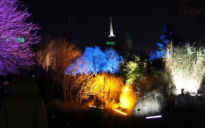 Zimowa iluminacja Ogrodu Botanicznego we Wrocławiu