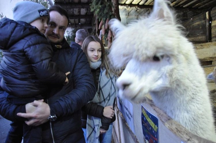 Nie ma wspólnego kolędowania, ale są szopki