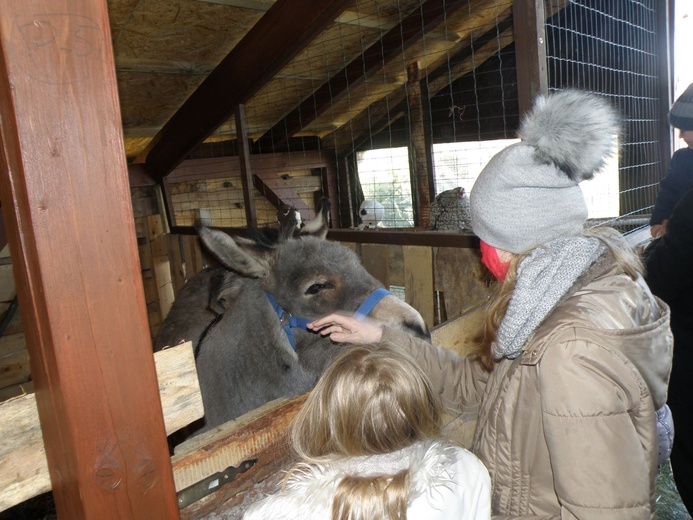 #NiezłaSzopka 2020/2021