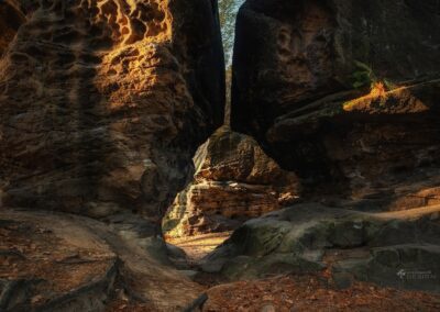 Ziemia świętych w hologramie
