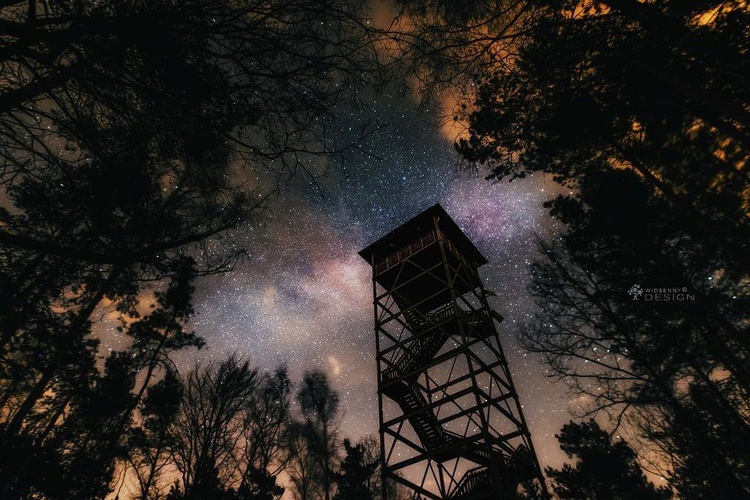 Ziemia świętych w hologramie