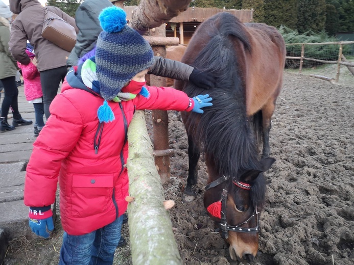 Żywa szopka w Błoniu