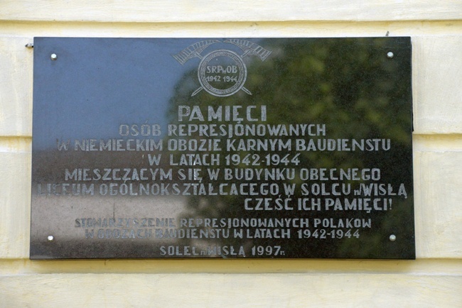 Solec nad Wisłą znów jest miastem