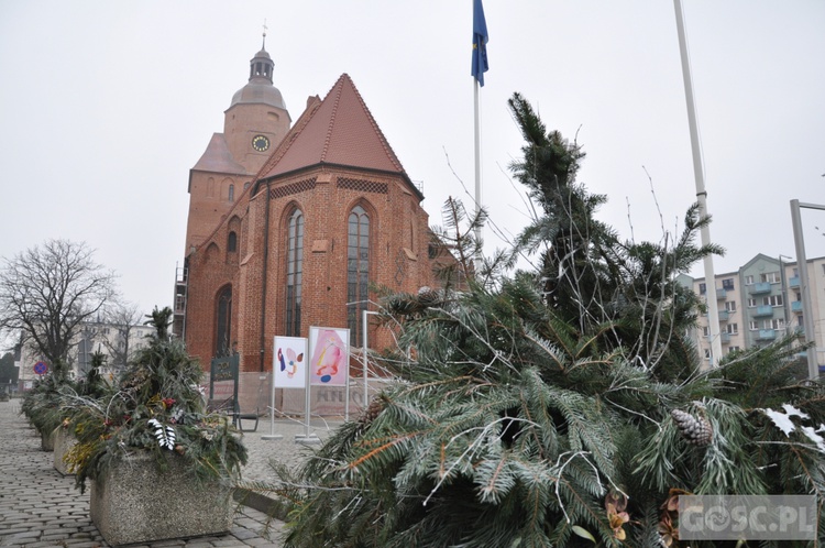 Noworoczne spojrzenie na katedrę