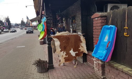 Beskidy. Jak wyglądają ferie w Szczyrku?