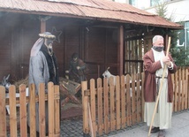 Żywa szopka w święto Trzech Króli