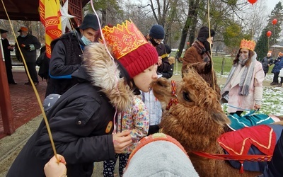 Mrozów. Zamiast orszaku - pomysłowa gra terenowa