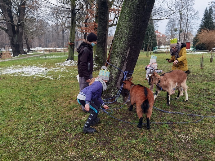 Trzej Królowie w Mrozowie 2021 czyli gra terenowa i kolędowanie