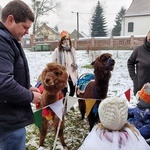 Trzej Królowie w Mrozowie 2021 czyli gra terenowa i kolędowanie