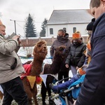 Trzej Królowie w Mrozowie 2021 czyli gra terenowa i kolędowanie