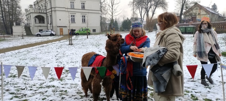 Trzej Królowie w Mrozowie 2021 czyli gra terenowa i kolędowanie