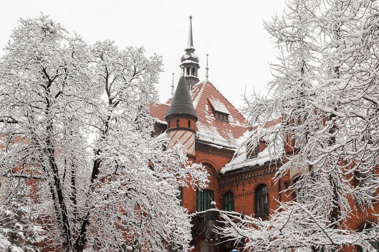 Propozycje Muzeum Górnośląskiego w lockdownie