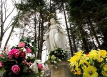 Figura Matki Bożej na Górze Parkowej ma już ponad 150 lat.