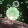 Niemcy: Wariant koronawirusa z RPA został po raz pierwszy wykryty w Niemczech
