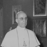 Odtajnione archiwa obalają czarną legendę Piusa XII 