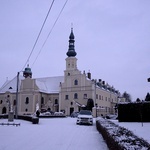 Ustanowienie Sanktuarium Matki Bożej Jasnogórskiej w Mochowie-Paulinach