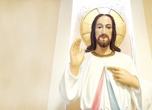 Figura Jezusa Miłosiernego w domu generalnym w Mariówce, prawdopodobnie zaprojektowana przez służkę, która miała silne związki z Płockiem  – pierwszym miejscem objawienia.