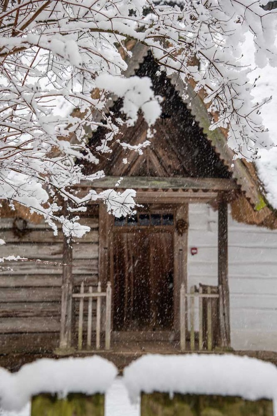 Zimowe krajobrazy w obiektywie