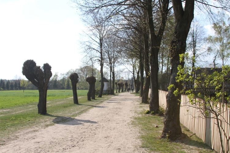 Sierpc. Skansen wiosną