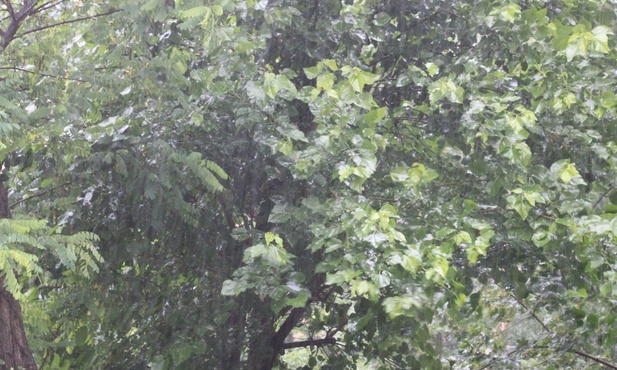 Deszcz