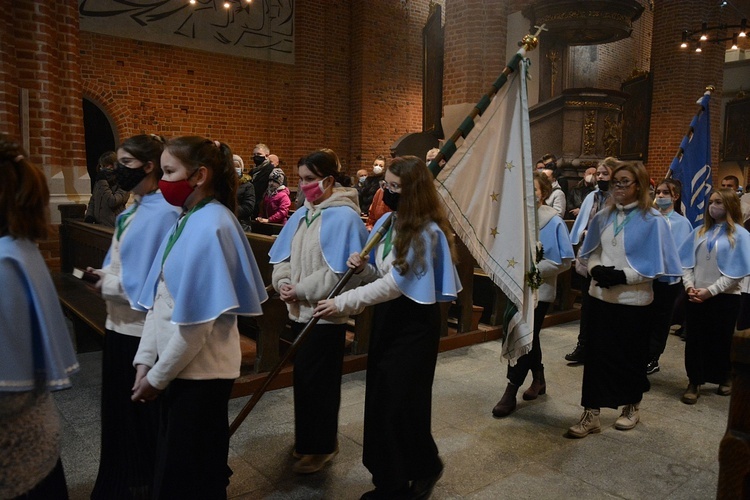 Środa Popielcowa w katedrze opolskiej