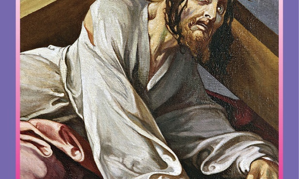 Stacja VII